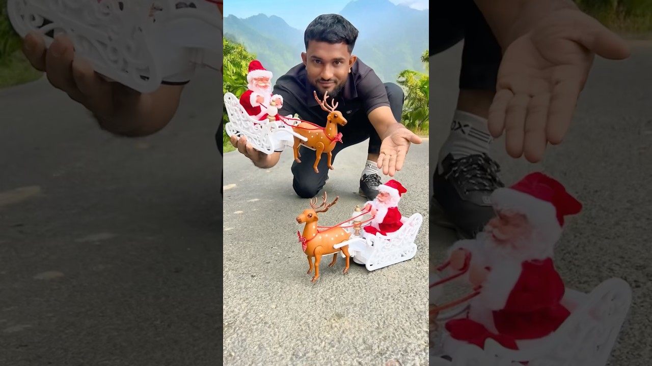 Two Remote Control  Reindeer Sleigh Unboxing Dako 😱