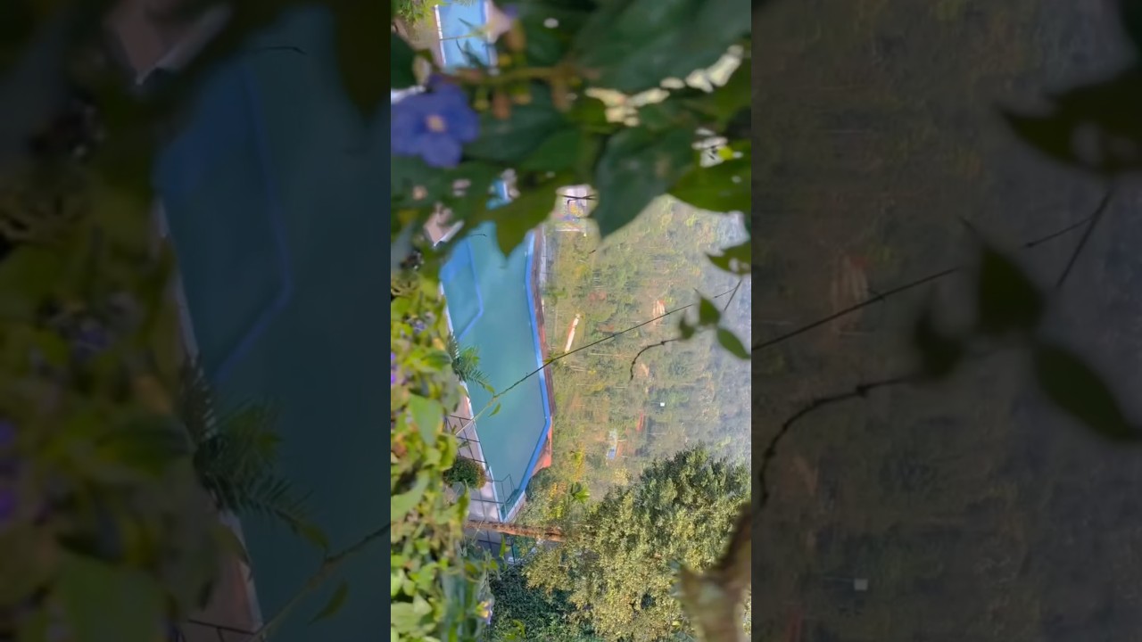 WAYANAD 📍 ☎️ 8590332340 kerala travel resort poolvilla