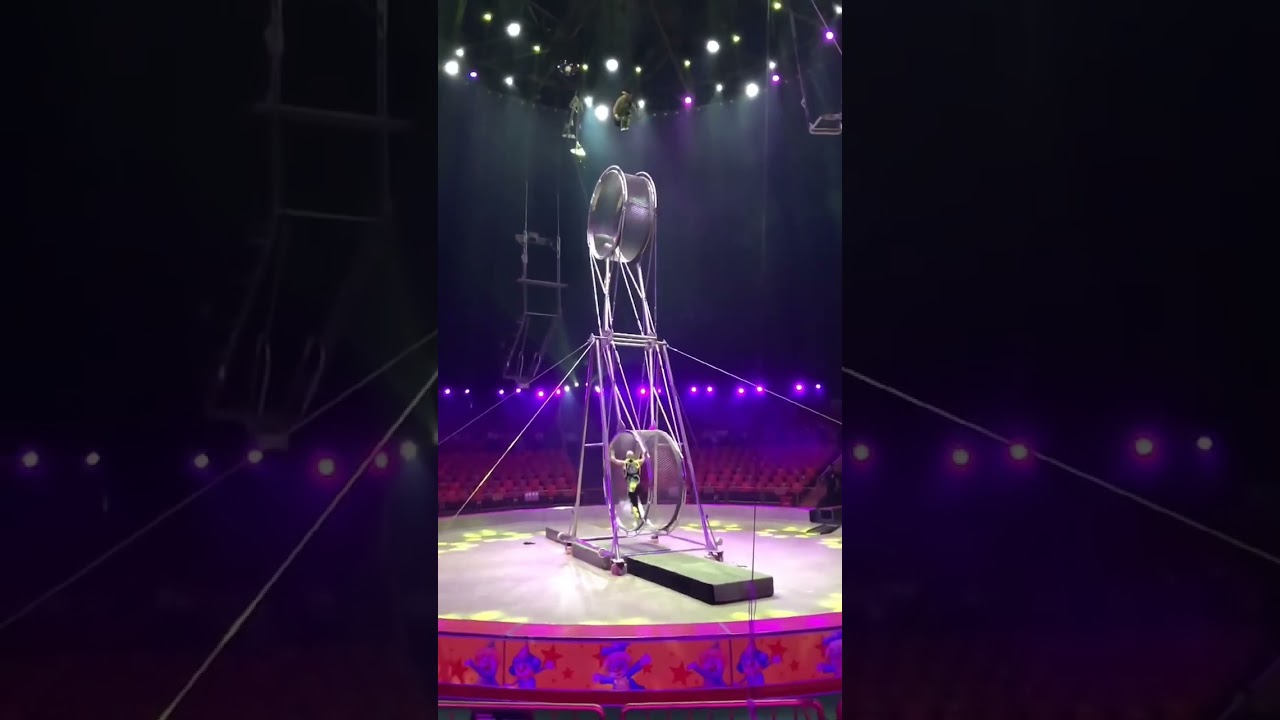 circus семафор работа китай город шанхай animal park страшная работа 🎪