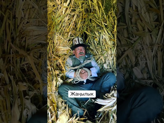 Чал😀 актеры rek кино юмор клип прикол шоумен тамаша фильм