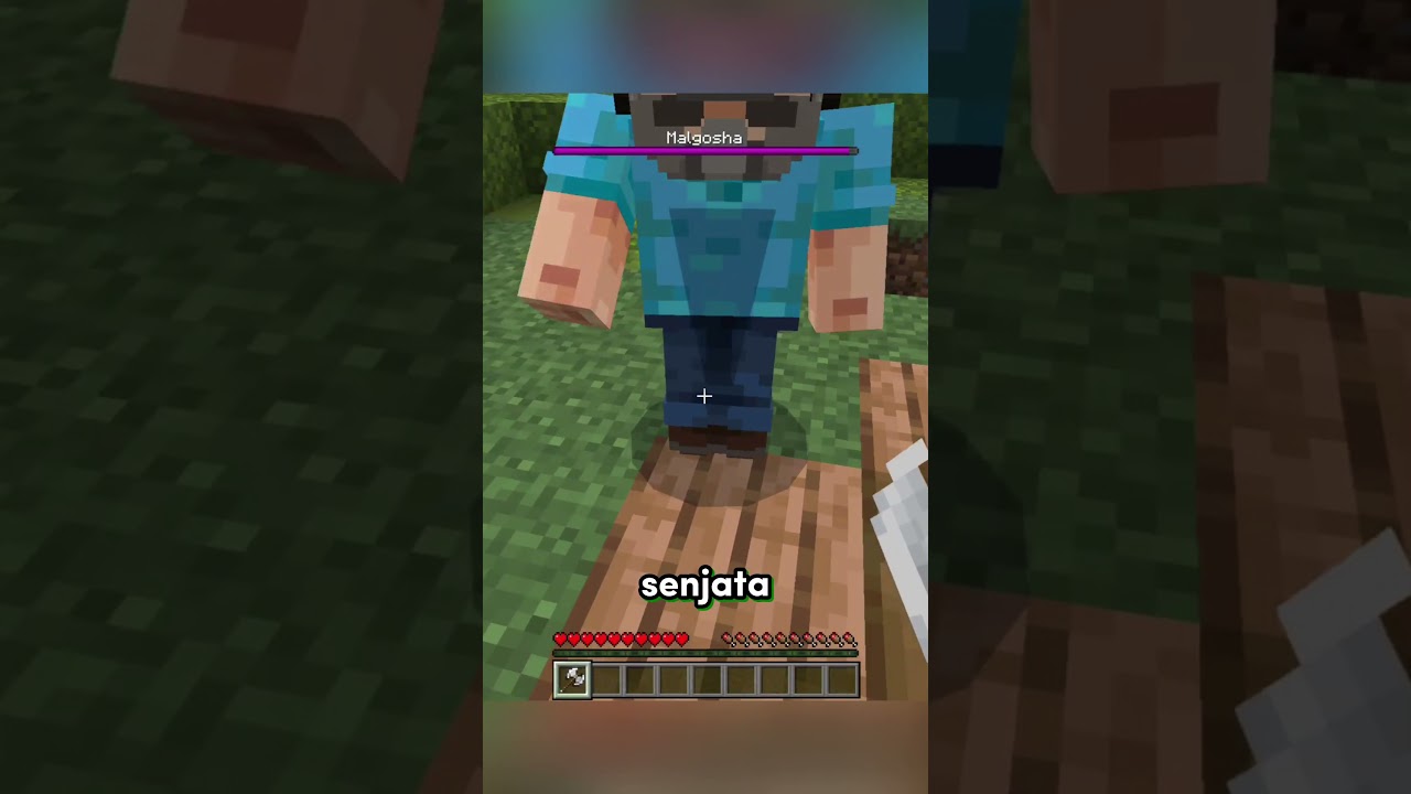 Kalo Kena Damage, Aku Main Minecraft Di Dunia Nyata!!