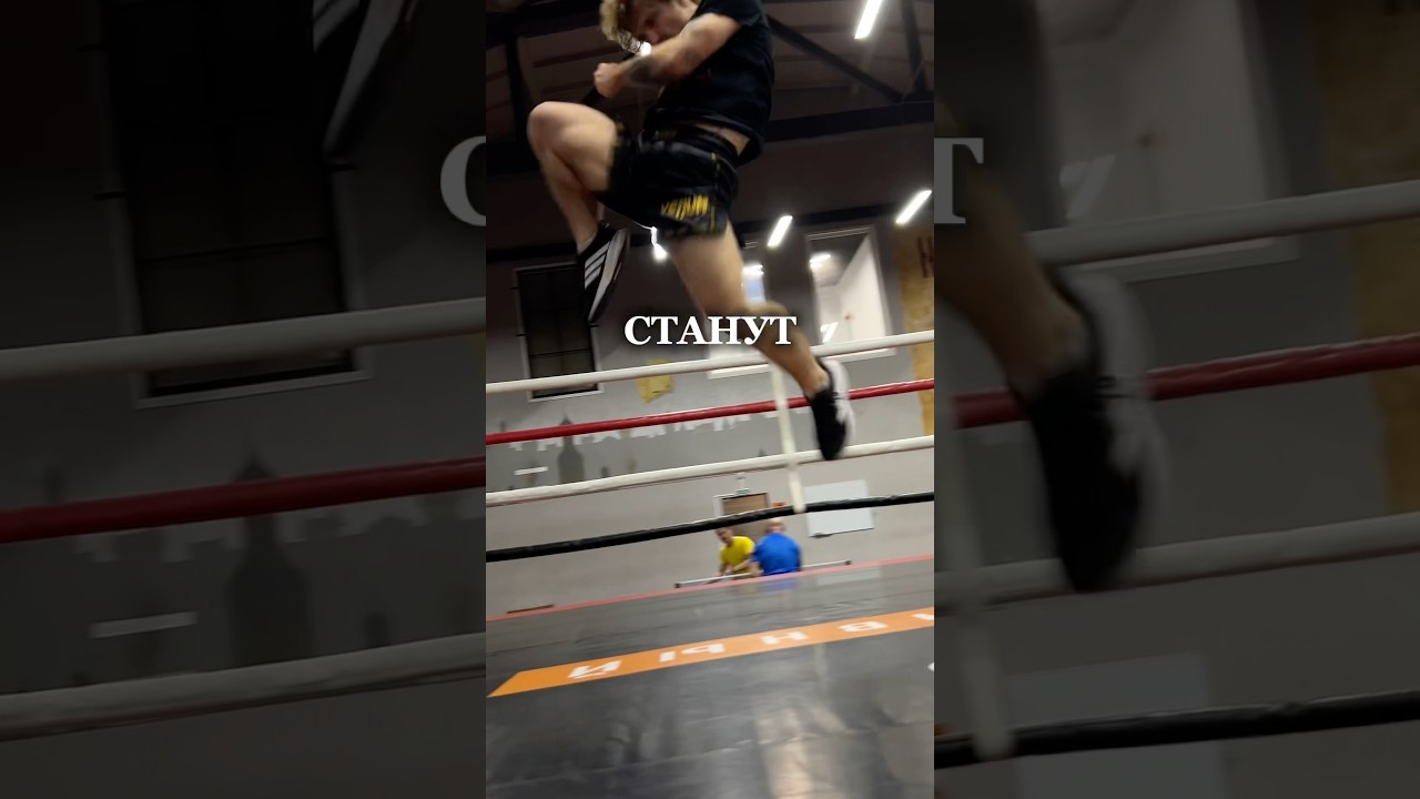 моя телега:constanttaa - там собраны реальные инструменты ufc fighting спорт