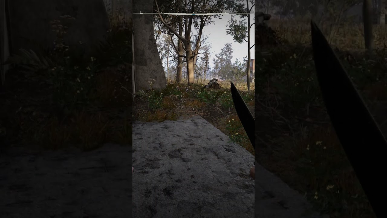 Секретный Старт игры, через «Плотину» Периметра! ☢️ игры stalker2 сталкер