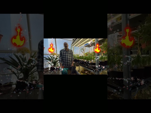 02 сезон 02 серия Ландыши