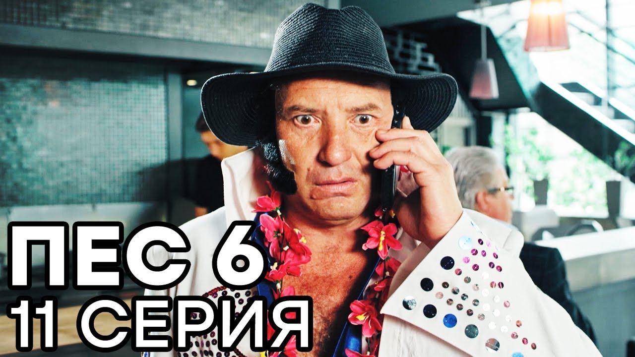 Сериал ПЕС 6 - 6 сезон - 11 серия - ВСЕ СЕРИИ смотреть онлайн | СЕРИАЛЫ ICTV