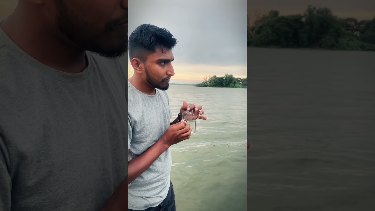 Nature Sounds 🍃🌿🎼