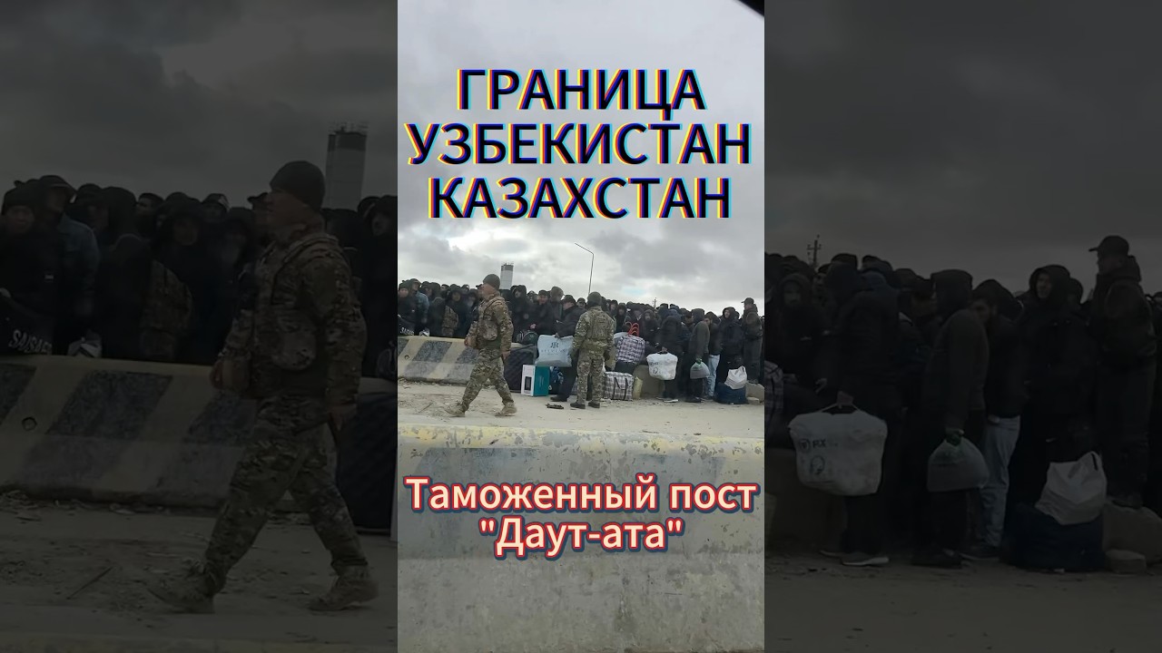 ВЕСЕЛАЯ😬ГРАНИЦА Казахстан-Узбекистан казахстан узбекистан пост даутата nickstrips reels