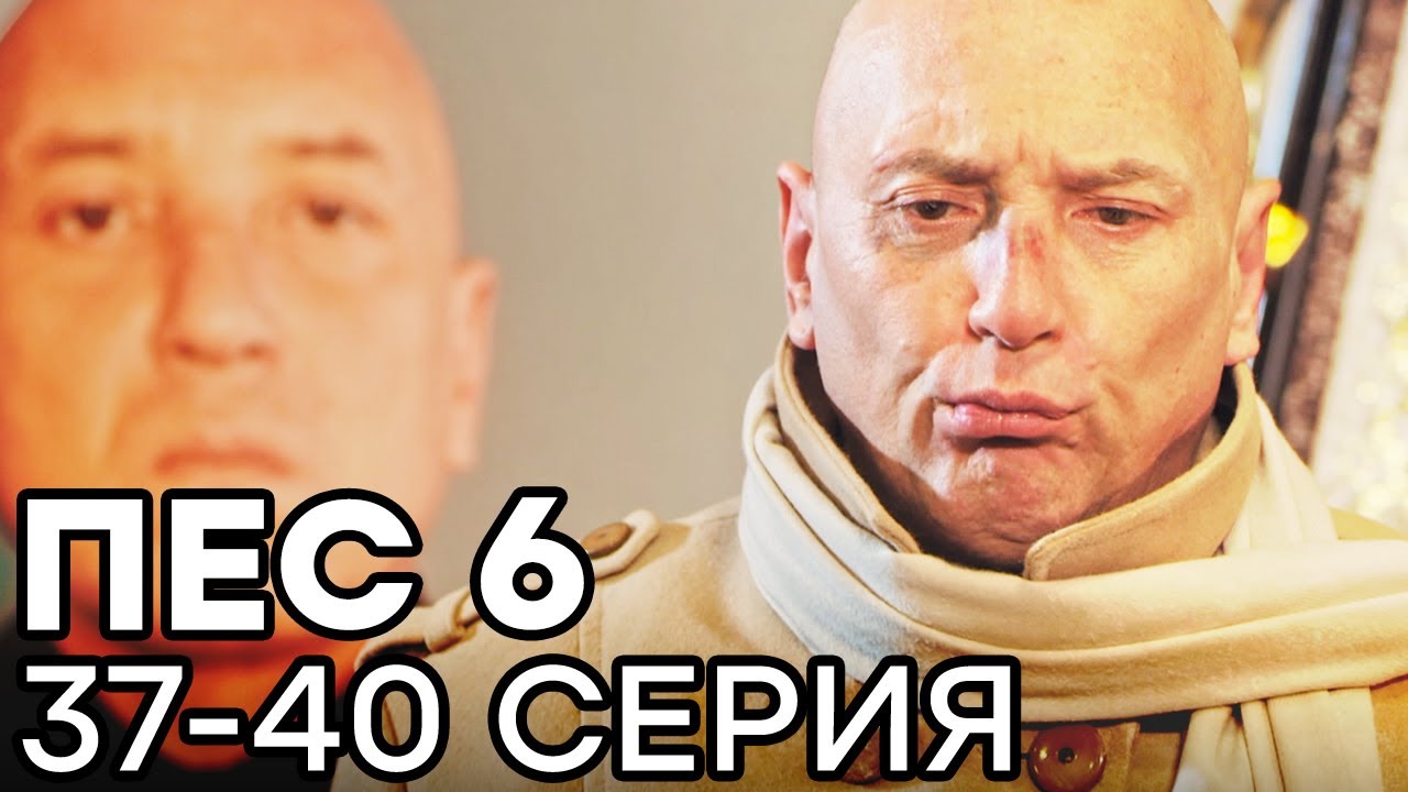 Сериал ПЕС 6 СЕЗОН - 37 - 40 серия - ВСЕ СЕРИИ ПОДРЯД | СЕРИАЛЫ ICTV