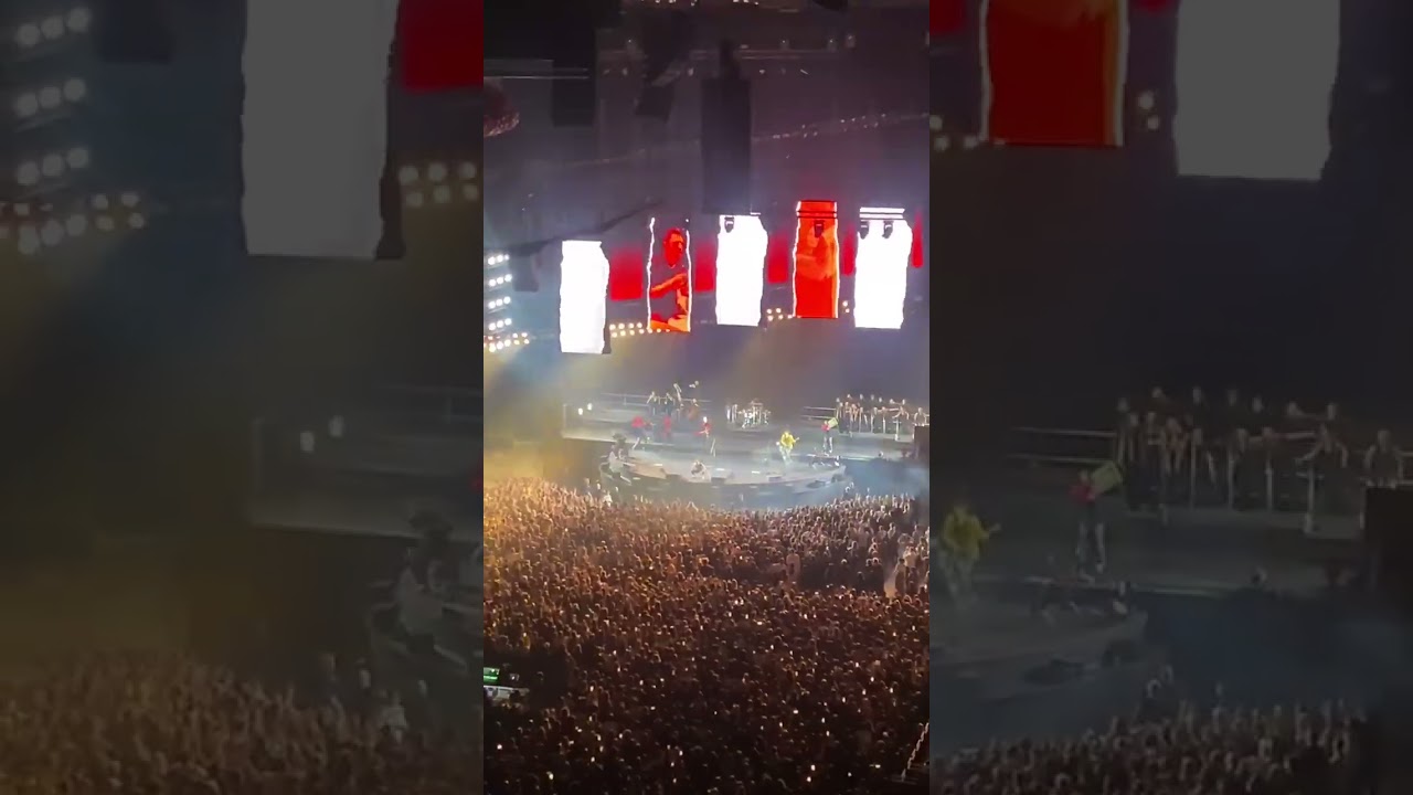 ноябрь 2025 г. 🎶 Музыка 🎶