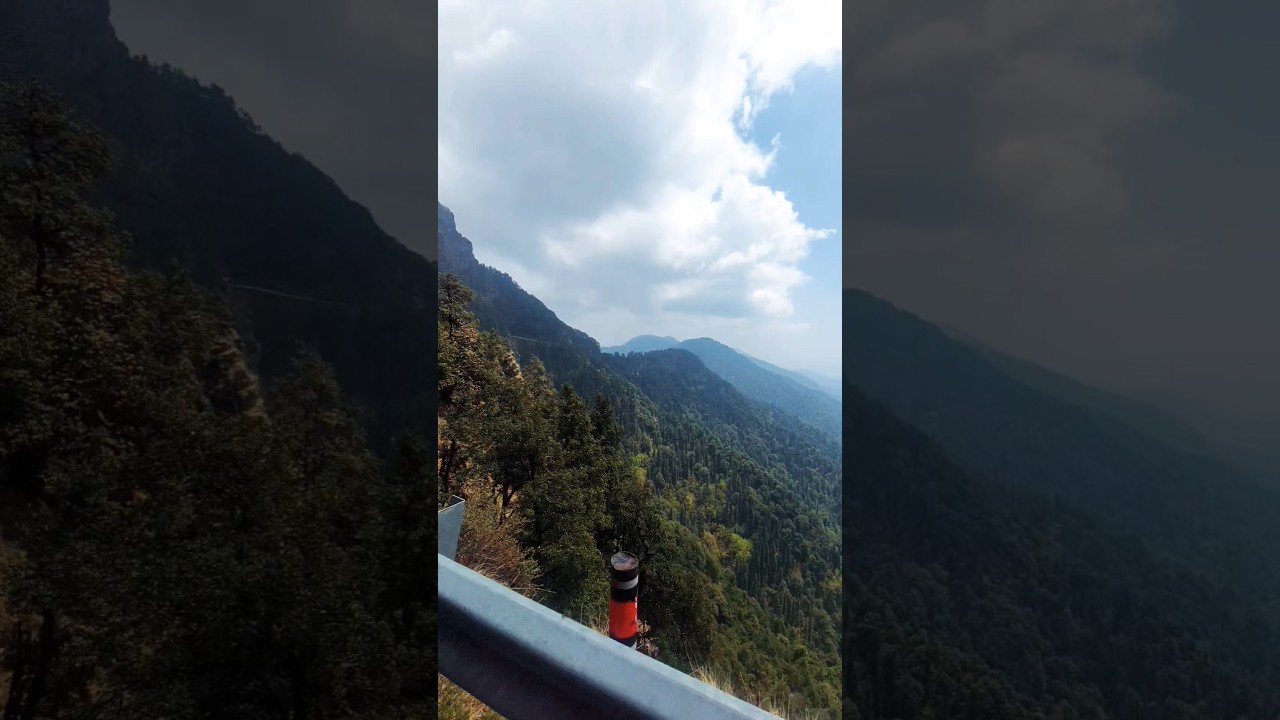 Uttarakhand #Chopta#Nature#Pahad#Viral shorts#Shorts