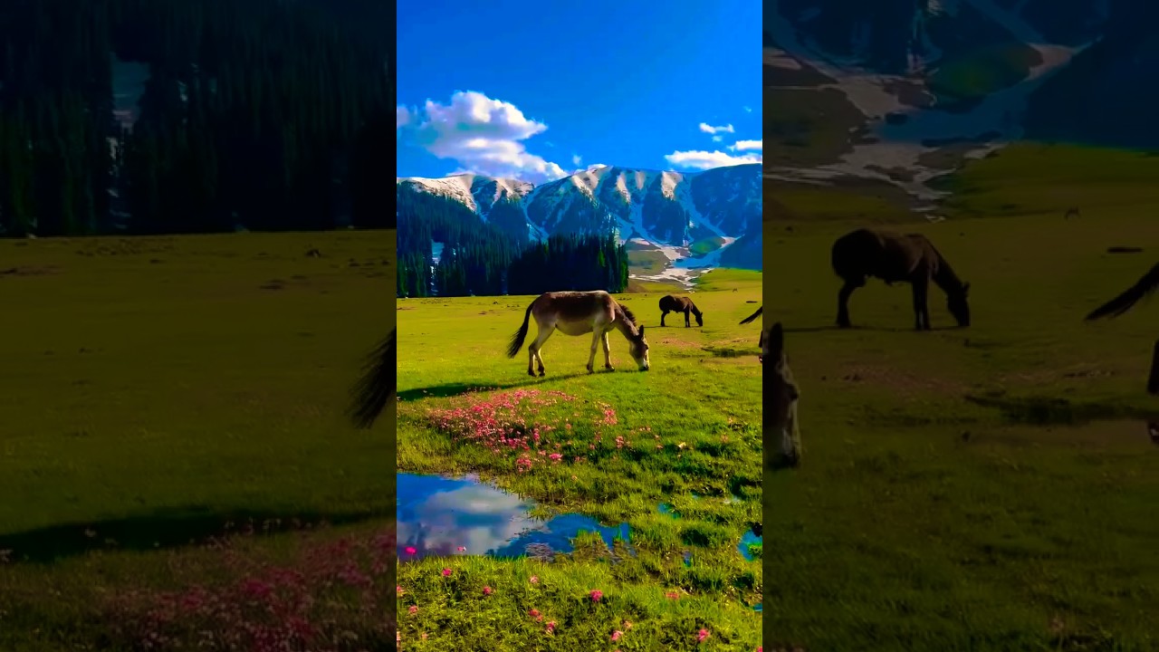 surah az-zumar translate urdu ❣️#alquran #allah #nature #shortvideo #shortsfeed #shorts #short