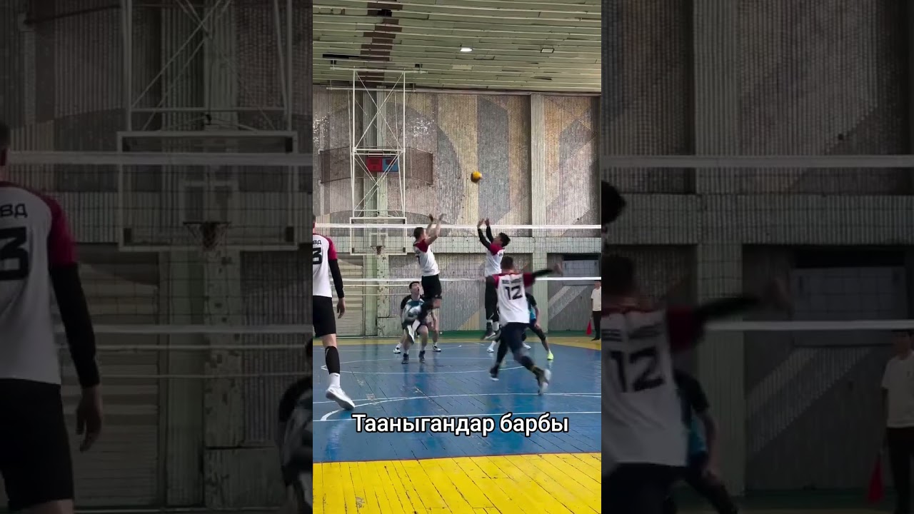 Александр кыргызстан volleyball волейбол волейболисты спорт рек volleyballworld reels rek