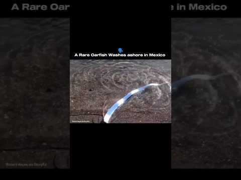 A Nature Trying To Say Something?#nature #earth #ocean #shorts #sciencefact5G