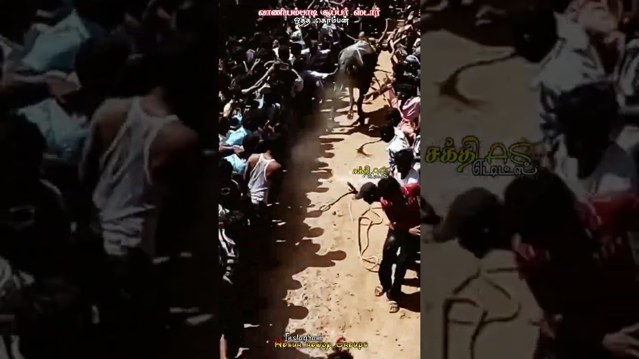 Vaniyambadi super star⭐#shorts #eruthuvidumthiruvizha #eruthukattu #happyness #Sakthi_AS