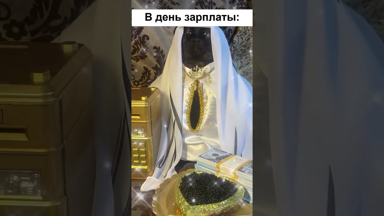 Про зарплату ha_u3u4e memes заработок работа юмор зарплата