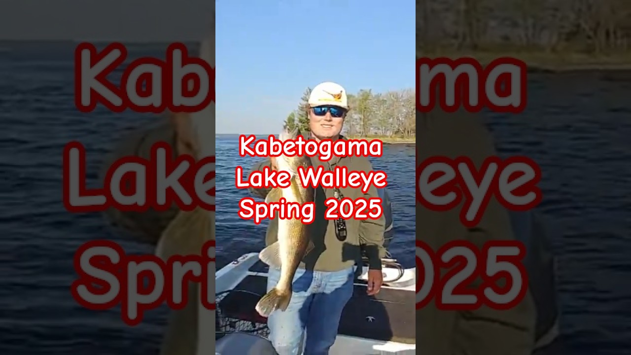 Sam’s Nice Walleye on Kabetogama Lake at Arrowhead Lodge Resort! 🎣