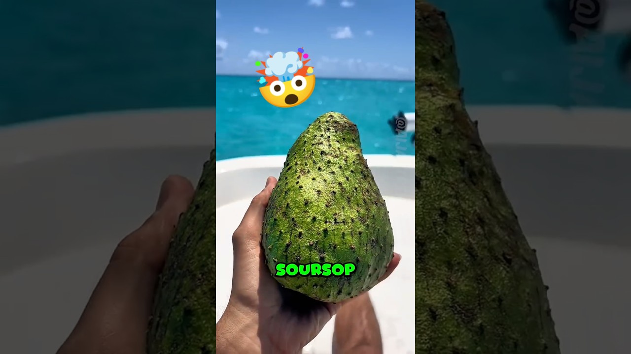 Top 5 Healthiest Fruits on Earth – Nature’s Superstars!