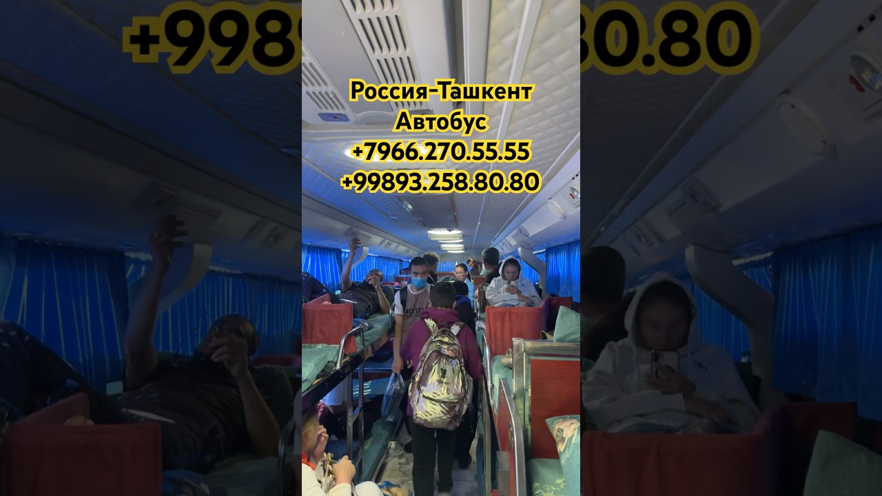 АВТОБУС РОССИЯ ТАШКЕНТ россия узбекистан автобус москва ташкент автобус 2025shorts musofir