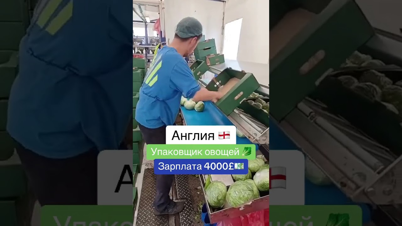 Работа в Англии: сколько можно заработать? - 10💷