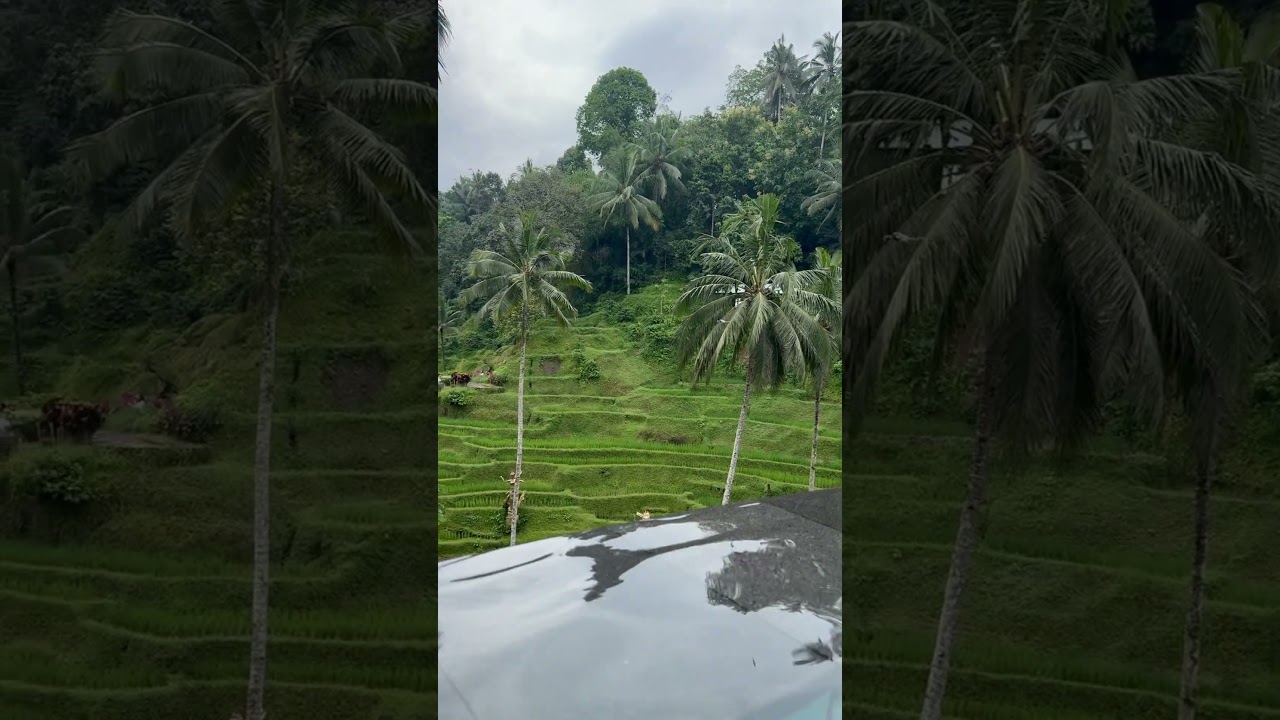 Khoobsoorat nazare❤️#travel #nature #shorts #love #beautiful #like #viralvideo #pahadi #bali #hills