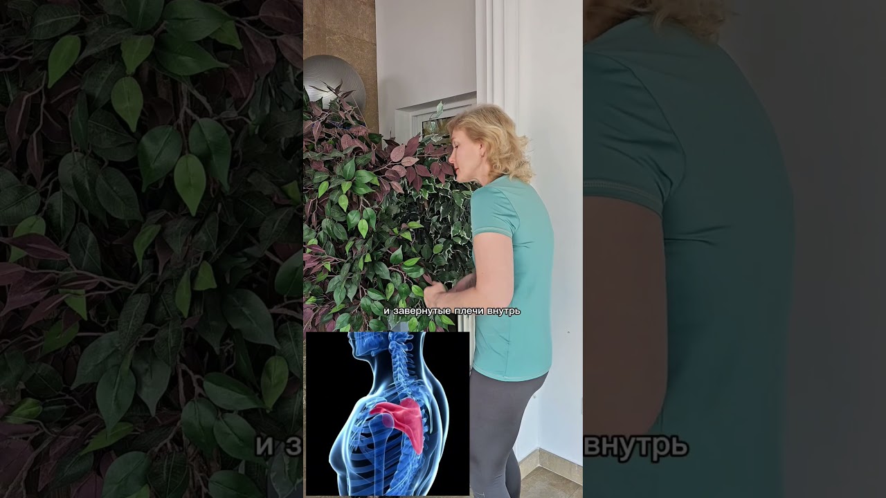 Напряжение между лопатками? Попробуй эти 3 упражнения после работы. осанка спина упражнения