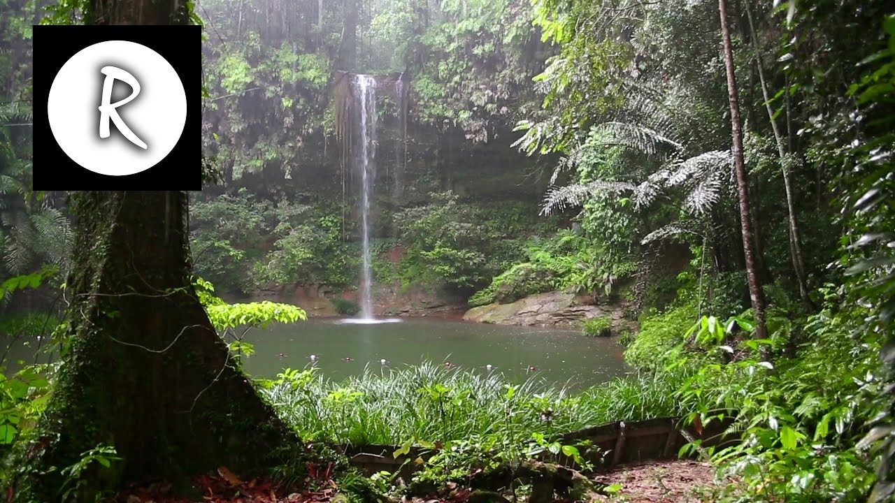 10 Hrs Rainforest &amp; Rain for Relaxing, Nature Sounds for Sleep, Meditation, Insomnia, SPA, Study
