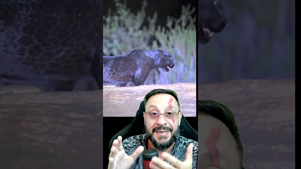 Pantera leopardo #biologohenrique #animais #bichoesperto #biologo