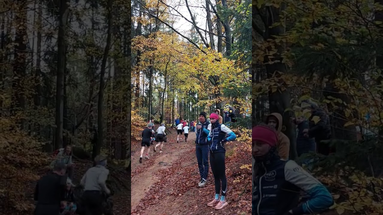 Ноябрь 2023 года. (Архивное видео).