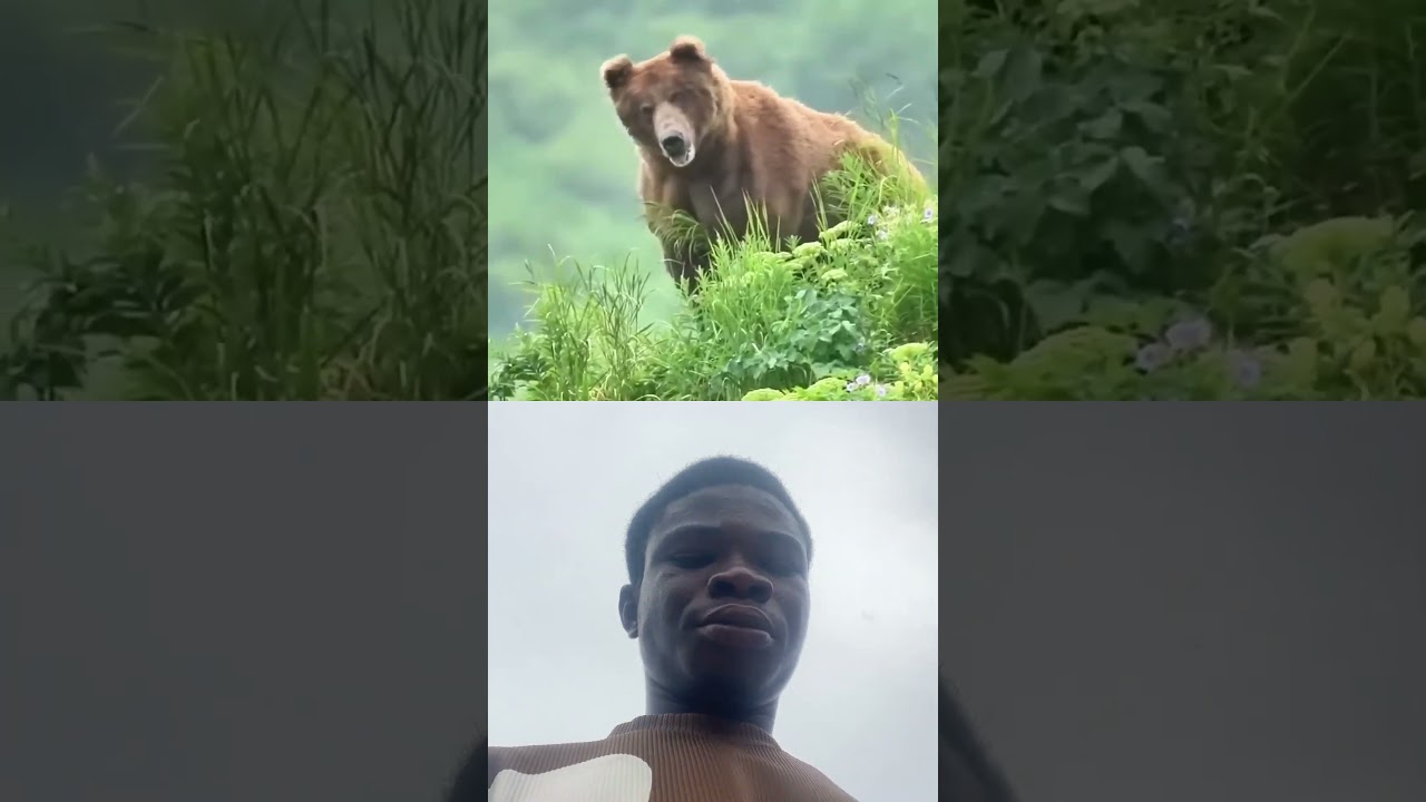 Share and subscribe #animals #wildlife #facts #nature #love #shortsfeed #trendingshorts #duet