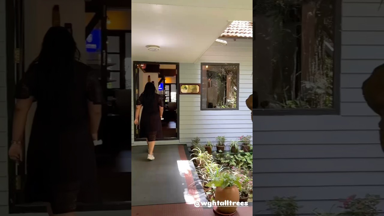 Deep in to the nature ☘️ youtubeshorts nature munnar resort