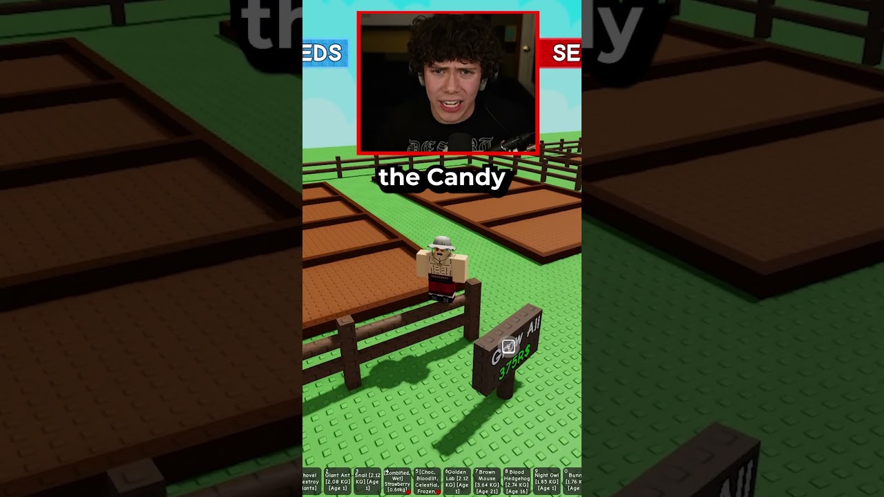 BEWARE of FREE CANDY BLOSSOMS SCAMS in Grow a Garden!