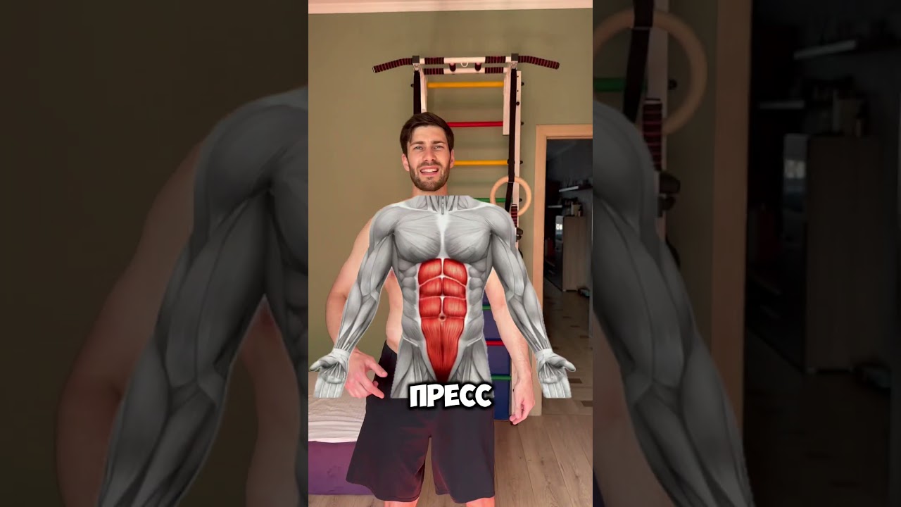 Очень сложное упражнение на пресс 😎💪🏻 fitness спорт спортивнаямедицина реабилитация