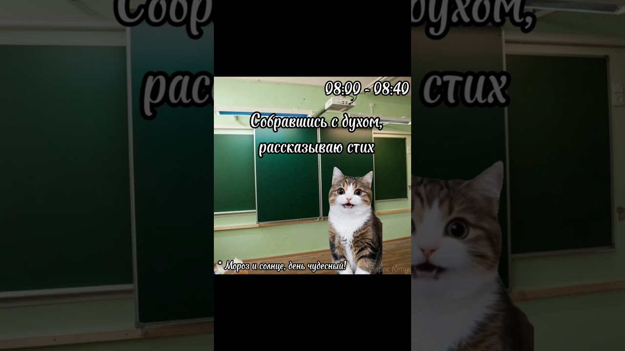 Рил: Мой обычный день пятница 📕. Часть 5. Футажи в моём телеграм канале.