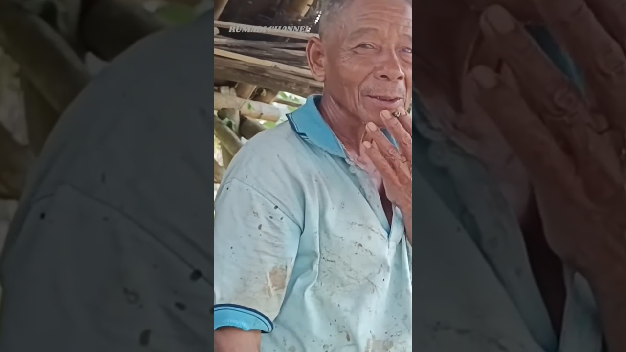 🛑 Suasana Alam pedesaan #sawah #trendingshorts #trending #pedesaan #kampung #nature #village