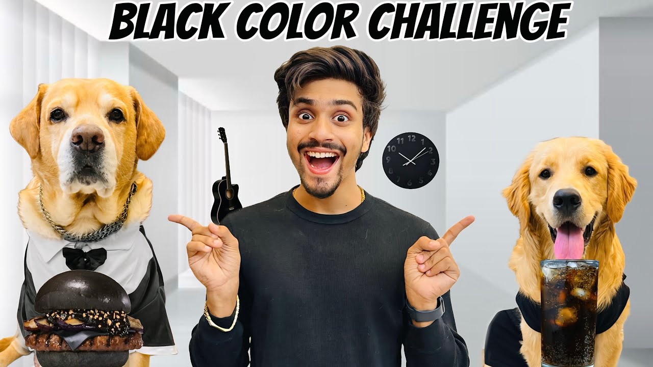 Black Color Challenge for 24 Hours | Reo bhoot Ban Gaya | Anant Rastogi