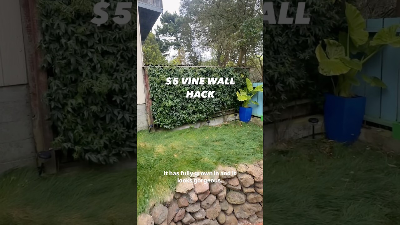 One of my best money-savings tricks from last year