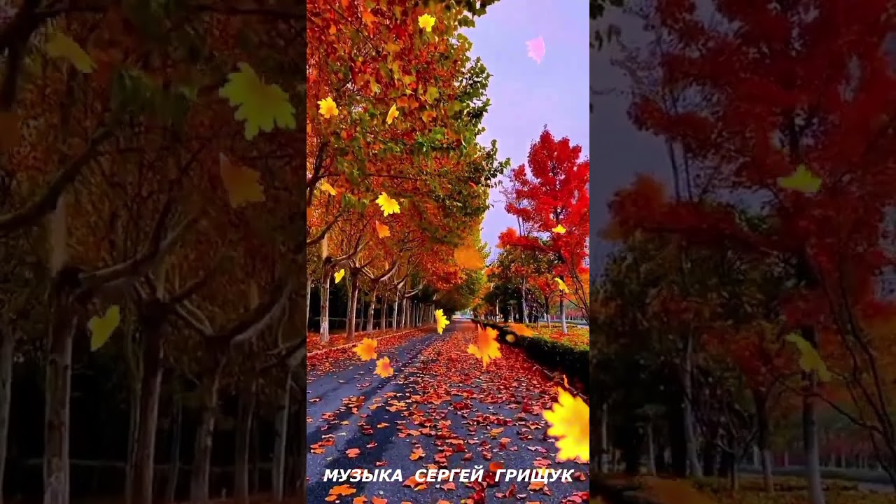 КРАСИВАЯ МУЗЫКА ДЛЯ ДУШИ ,,ЗИМНИЙ СОН ,,МУЗЫКА СЕРГЕЙ ГРИЩУК МУЗЫКА КРАСИВАЯМУЗЫКА