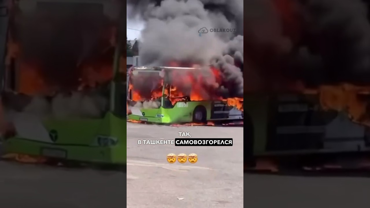 ⚡ Жара в Узбекистане. tashkent toshkent новости uzbekistan ташкент узбекистан