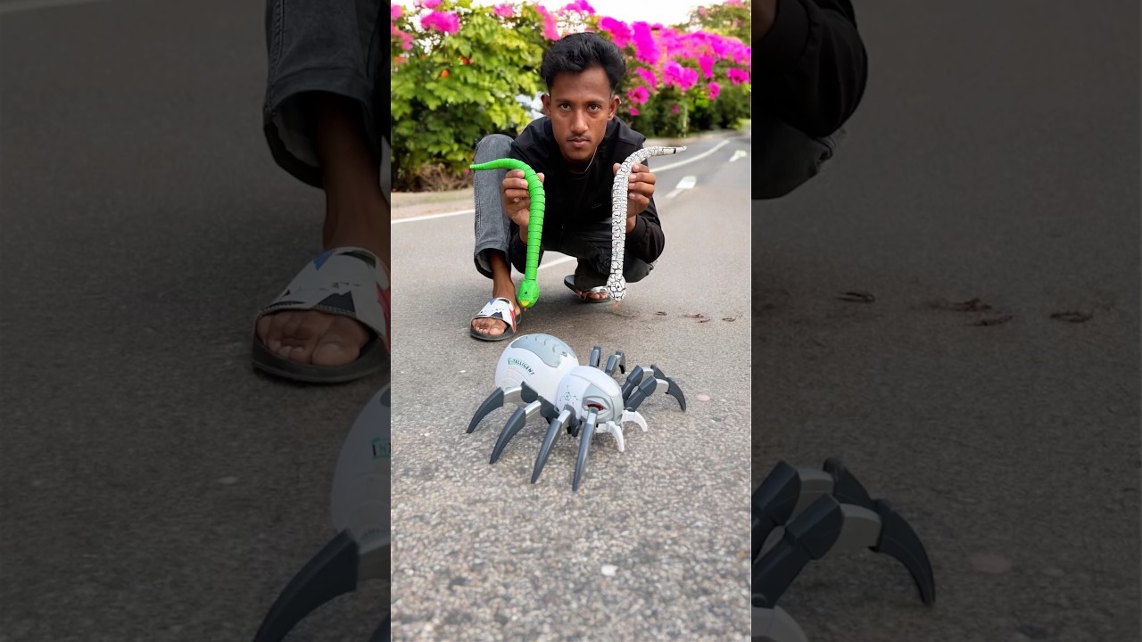 2 ta Rc Snake and Remote Wala Spider 🕷️ Unboxing 🔥testing ￼ shorts ￼