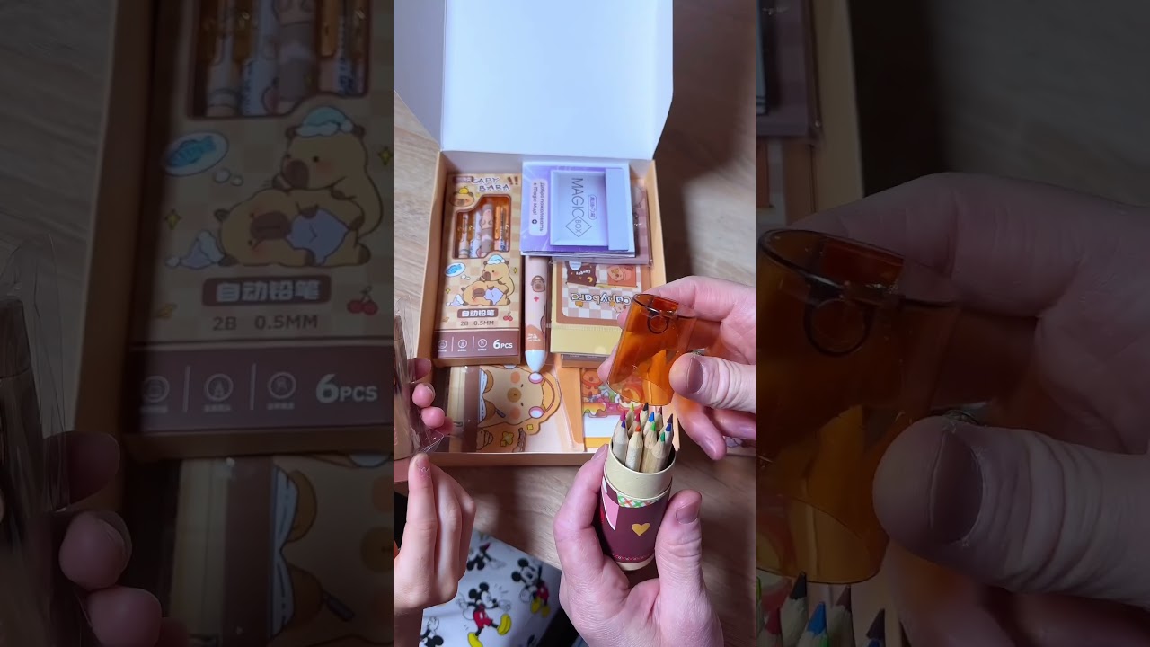 Новая распаковка от @Olivia_Family ✨арт.ВБ 250150130 😍 канцелярия капибара распаковка