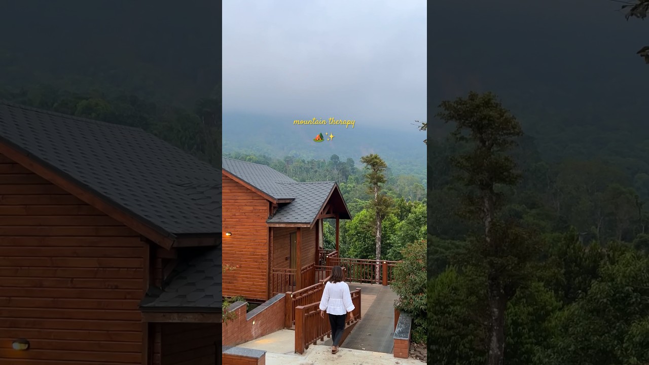 Your sign to take a weekend trip to Chikmagalur! 📍RiverMist Resort travel