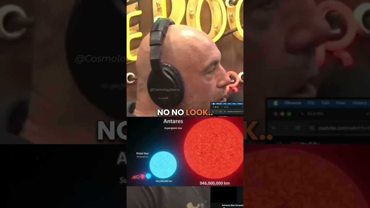 SUN vs. The Largest Stars In The Universe 🤯 w/Joe Rogan #stars #cosmology #sun