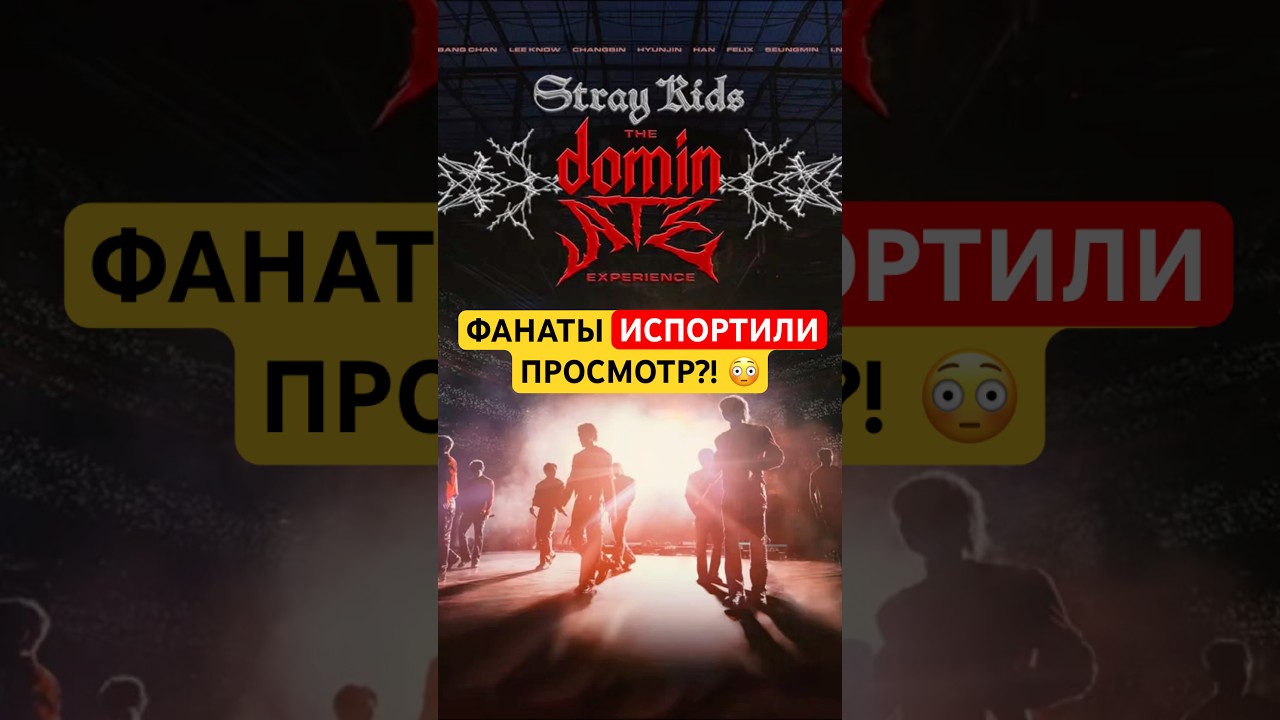 Фильм или Концерт? Поведение фанатов во время STRAY KIDS: THE DOMINATE EXPERIENCE
