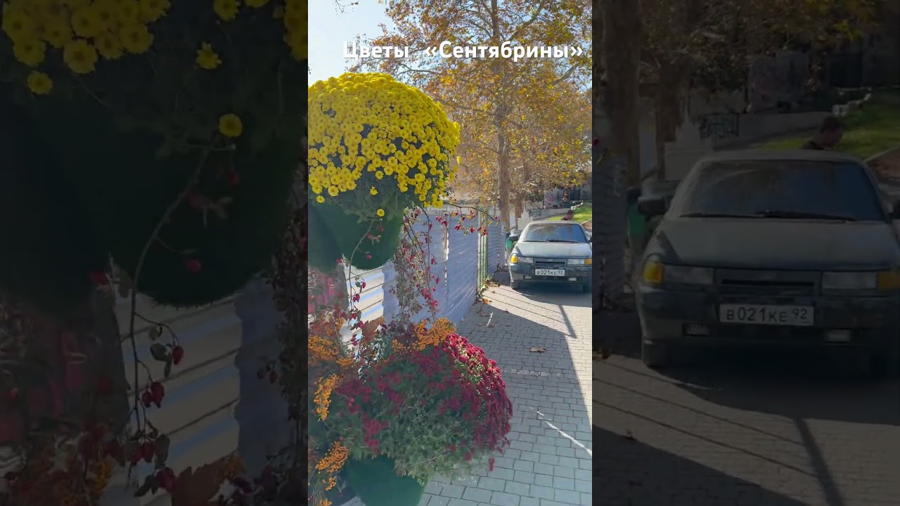 Инструментал Exsperience музыкацветыноябрькрасота осеньdjkirillkim релаксавторскаямузыка