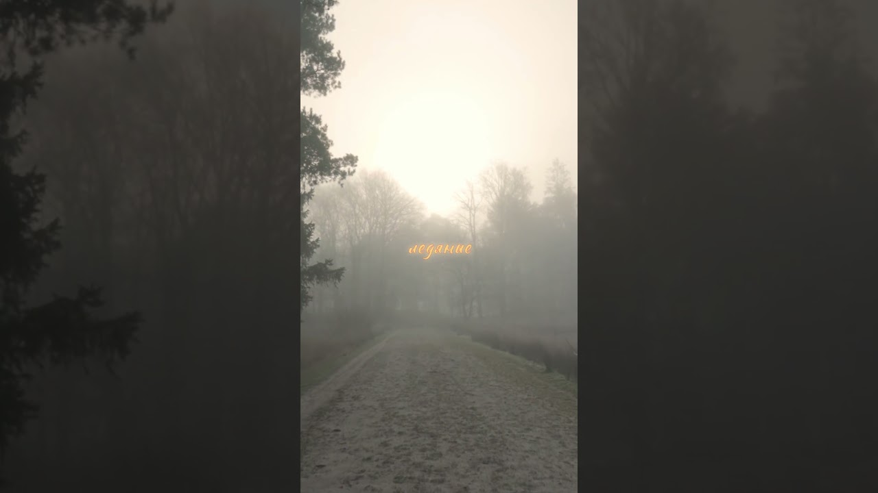 развлечения music karishka  музыка guitarmusic acoustic guitar  ноябрь квартирник rock