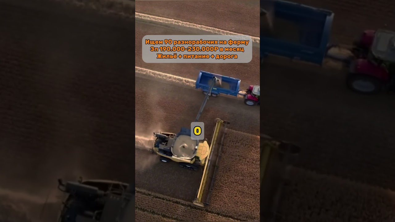 Ищем 90 разнорабочих на ферму в России вакансия работа трудоустройство россия заработок