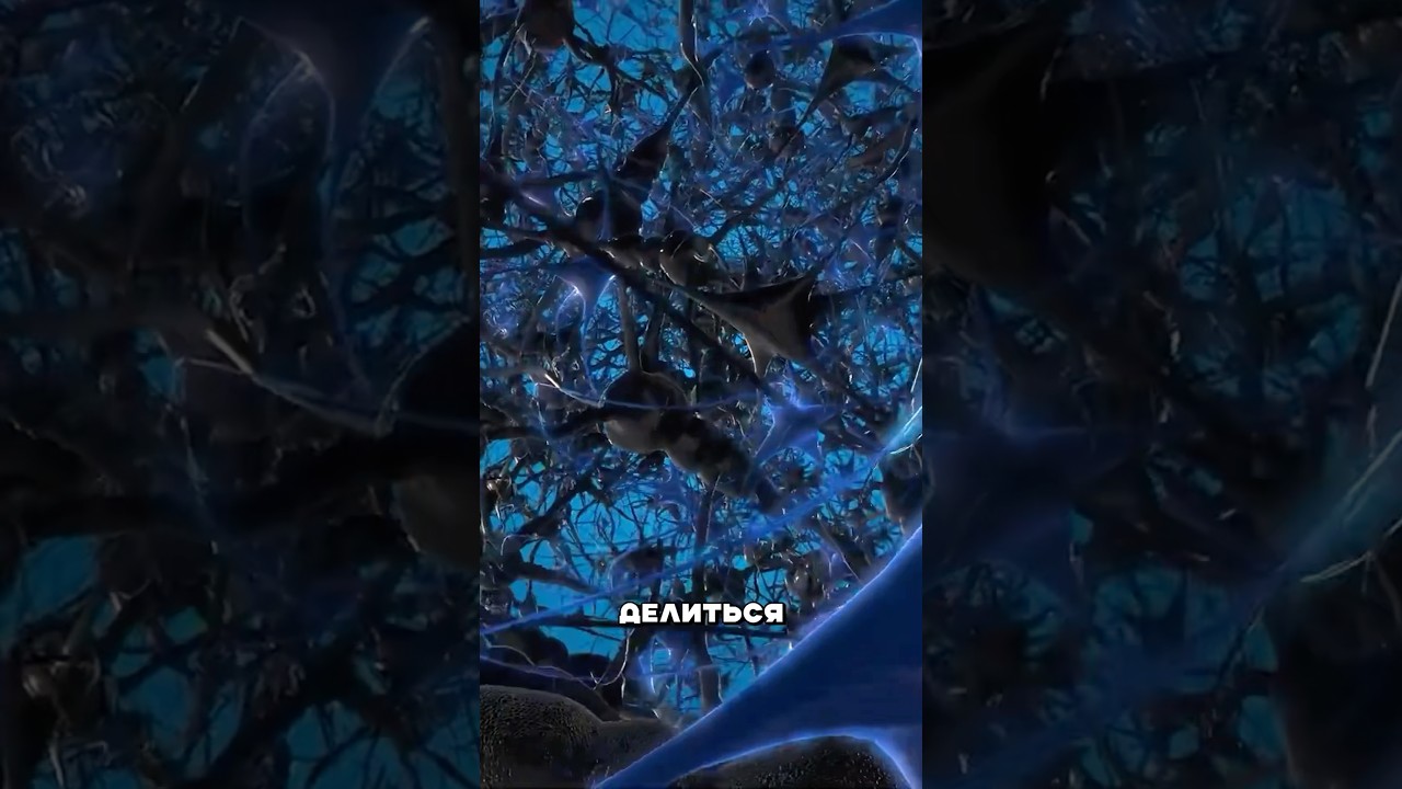 Корневая система деревьев #амитеш #природа