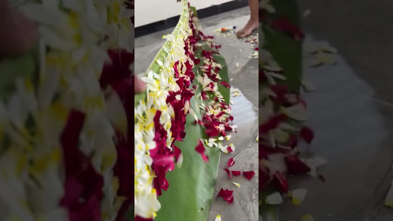 home decorating ideas  #nature #video #trend #shortvideo