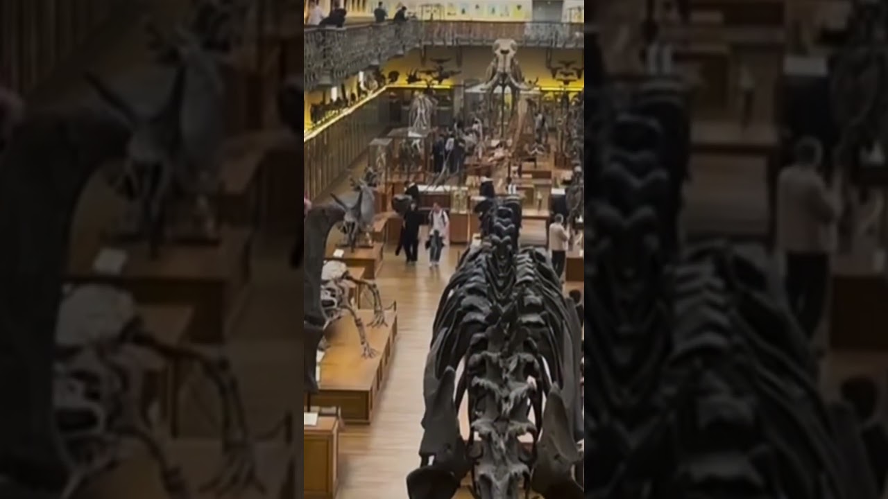 rock metal music тренды2025 tirexteam paris travel disturbed dinosaur