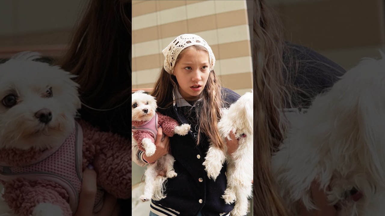 Сериал Про собаку. 2 сезон. 8 серия. vikazang vikазанг чжанвика